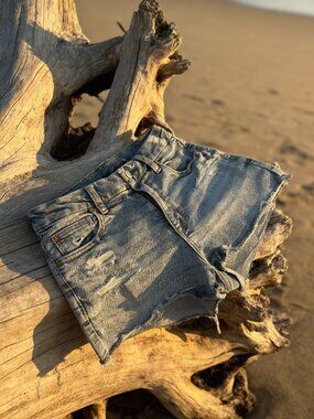 Next Level Curvy High-Rise Shortie Shorts